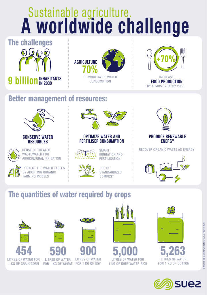 A worldwide challenge infographie