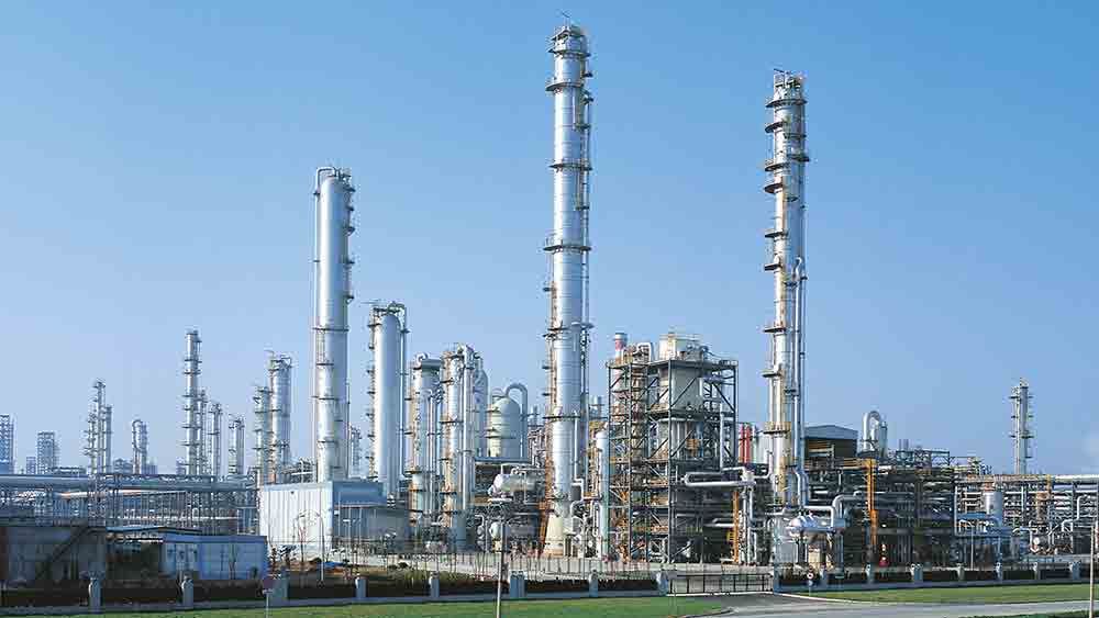 Antwerp plant