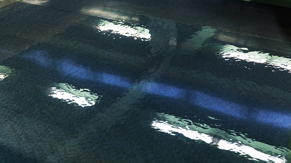 Water
