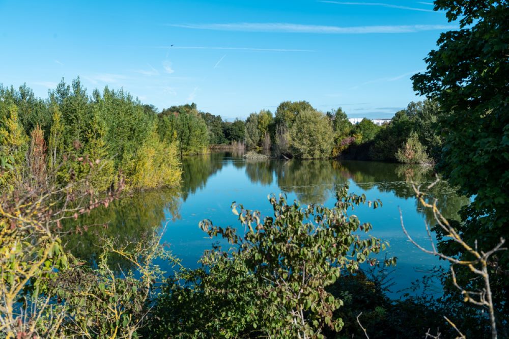 etang IDF