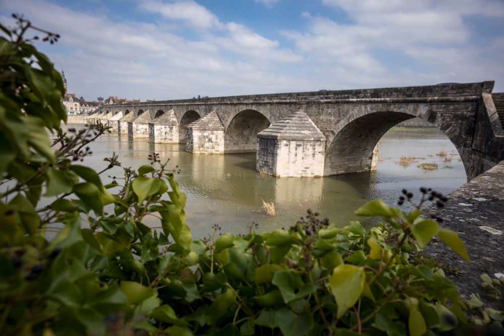gien