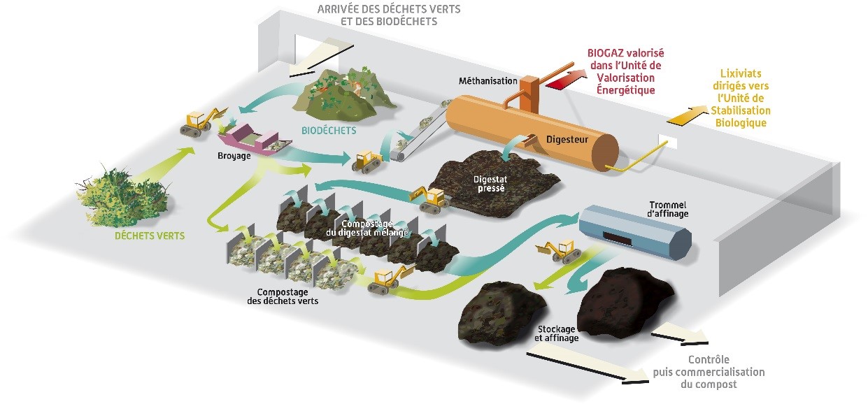vernea schema valorisation biologique
