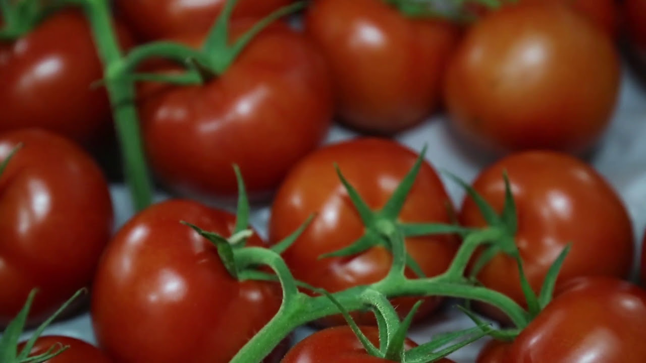 Le réseau de chaleur d'Econotre -Thumbnail