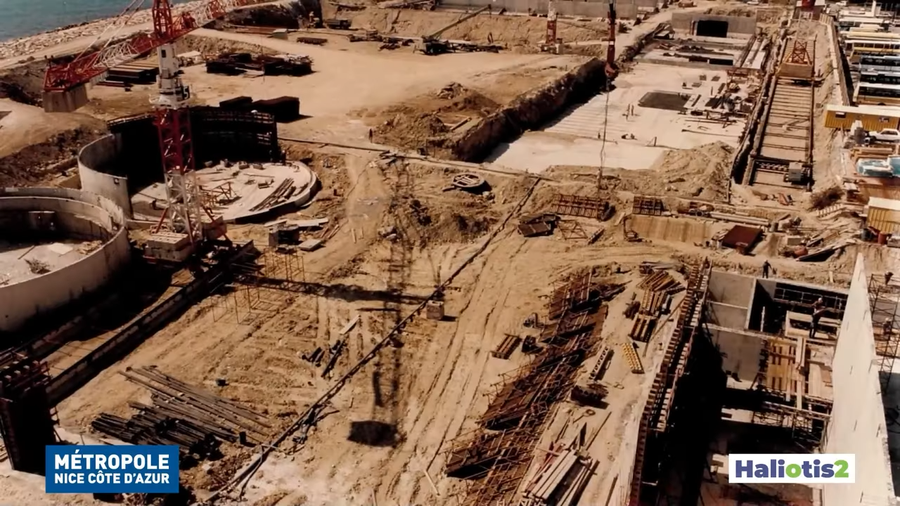 Haliotis 2 - Thumbnail