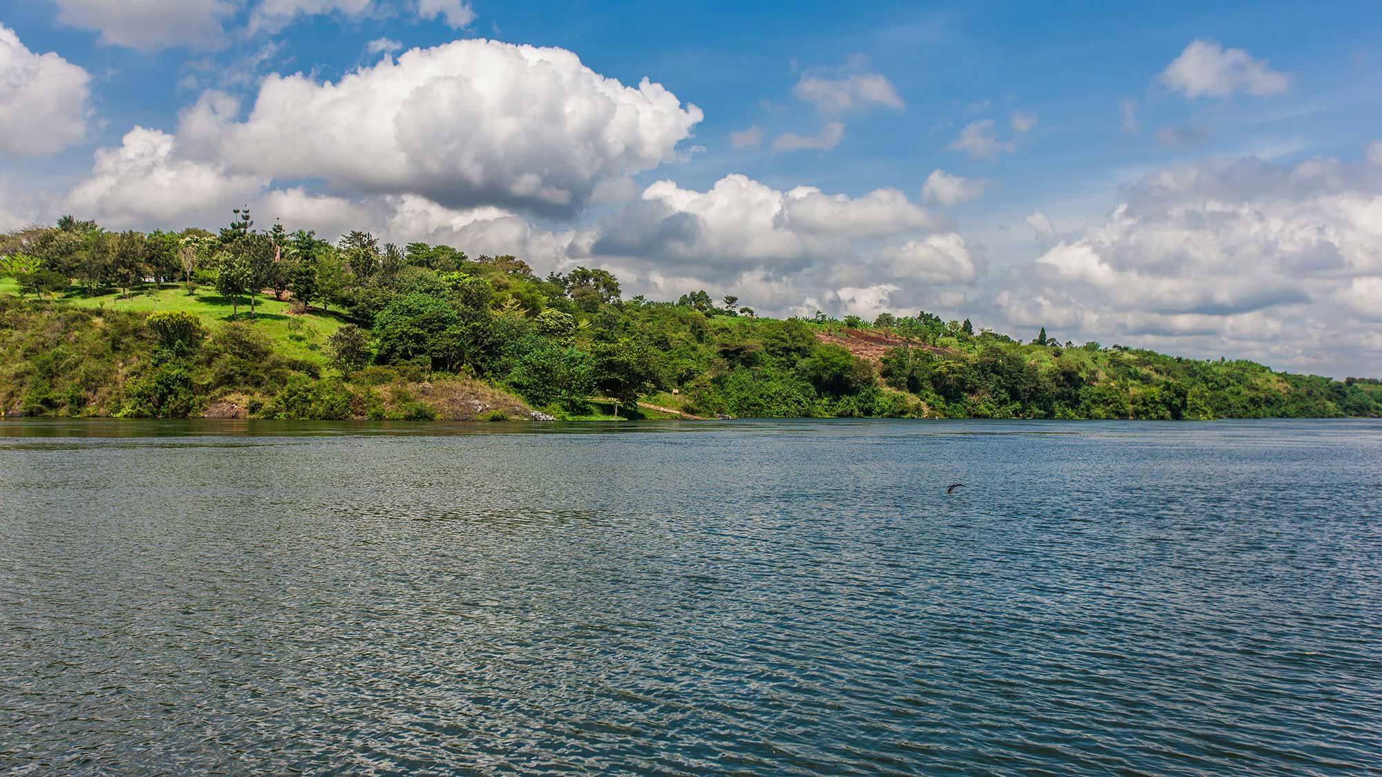 River Nile leaving Lake Victoria at Jinja Uganda Africa