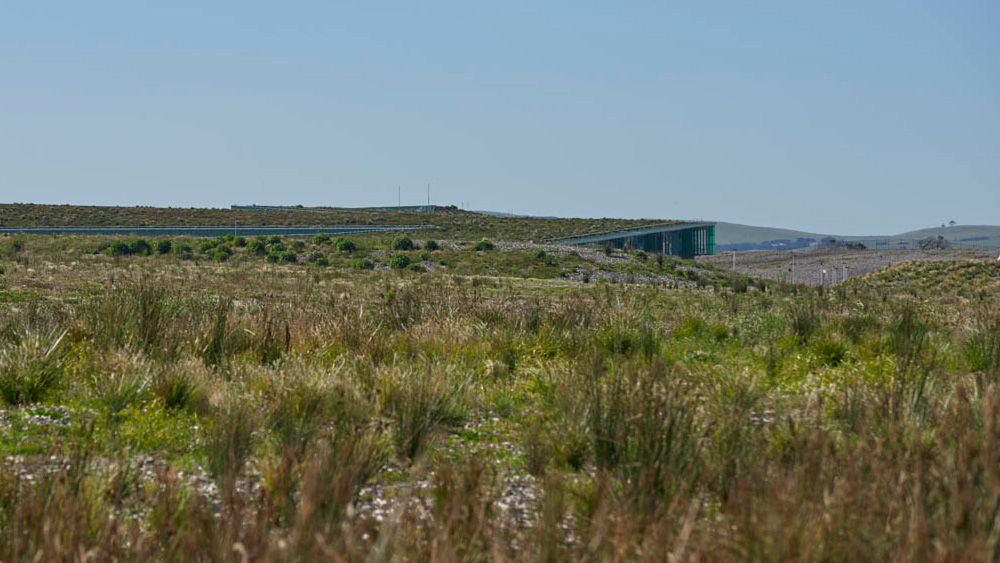 Image showing green roof and landscaping around desalination facility