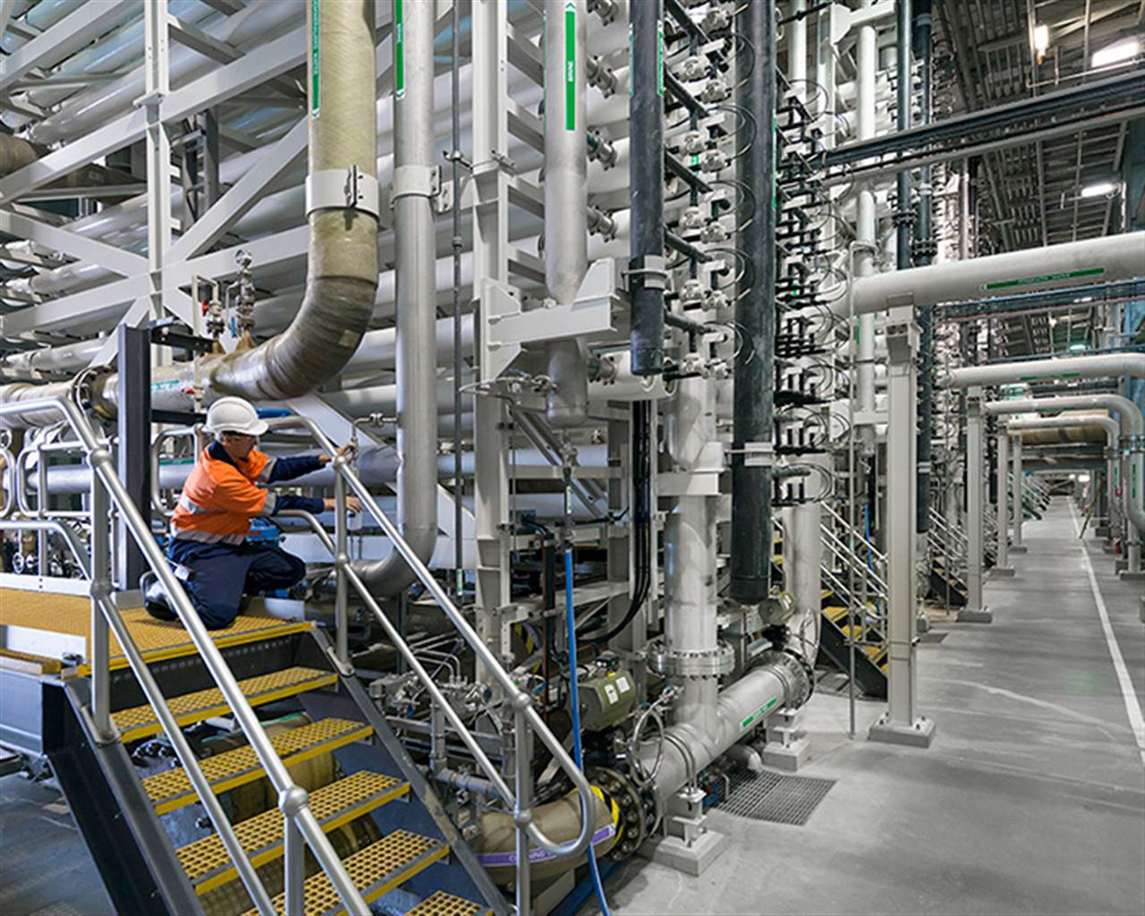 VDP employee maintaining the plant