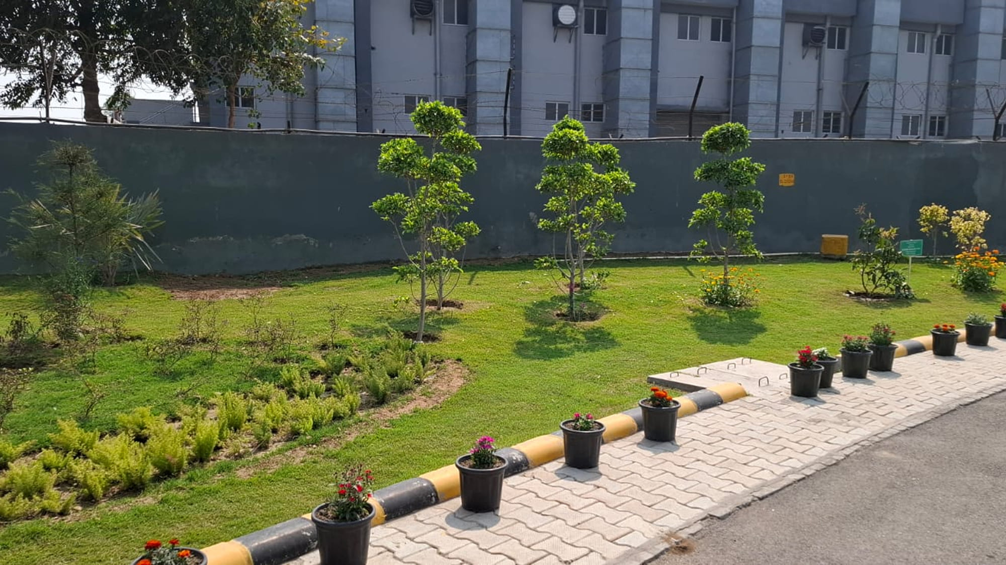 Okhla-Pilier Nature