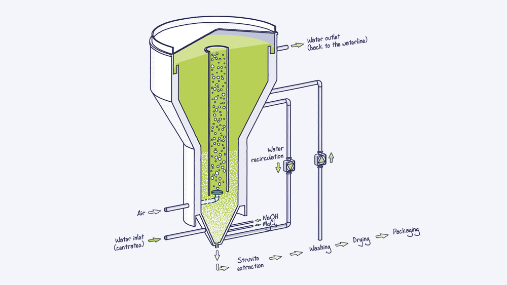 Image Generic - Phosphogreen illustration, Image Generic - Phosphogreen illustration