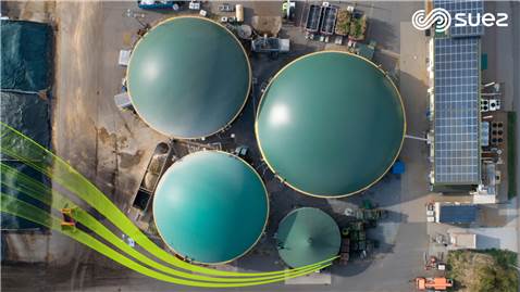 Tericos plantas de biogs