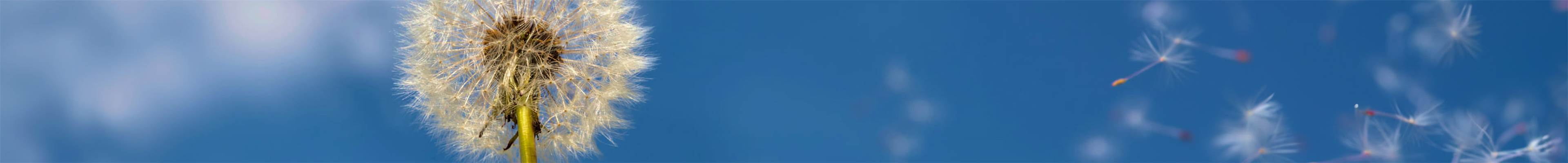 Header-mini-site-air-climat