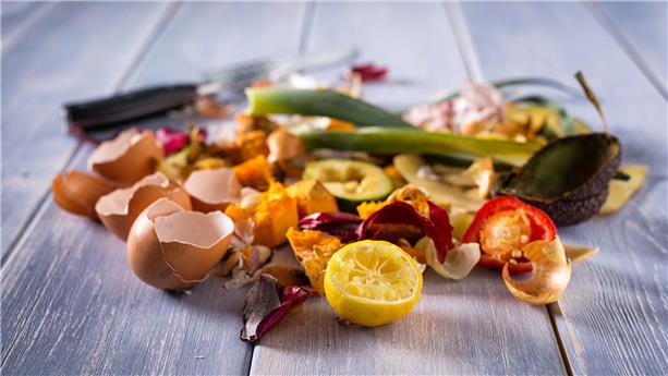 Bio waste BioRessourceLab