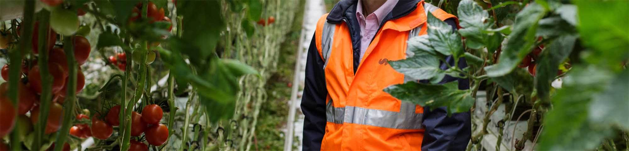 Header managers et experts