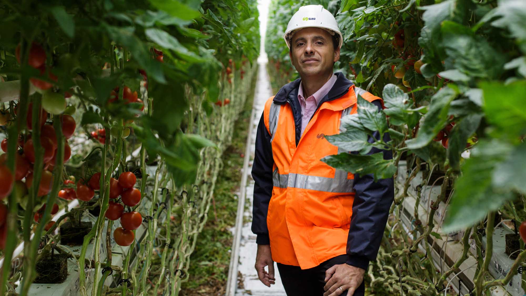 Header managers et experts