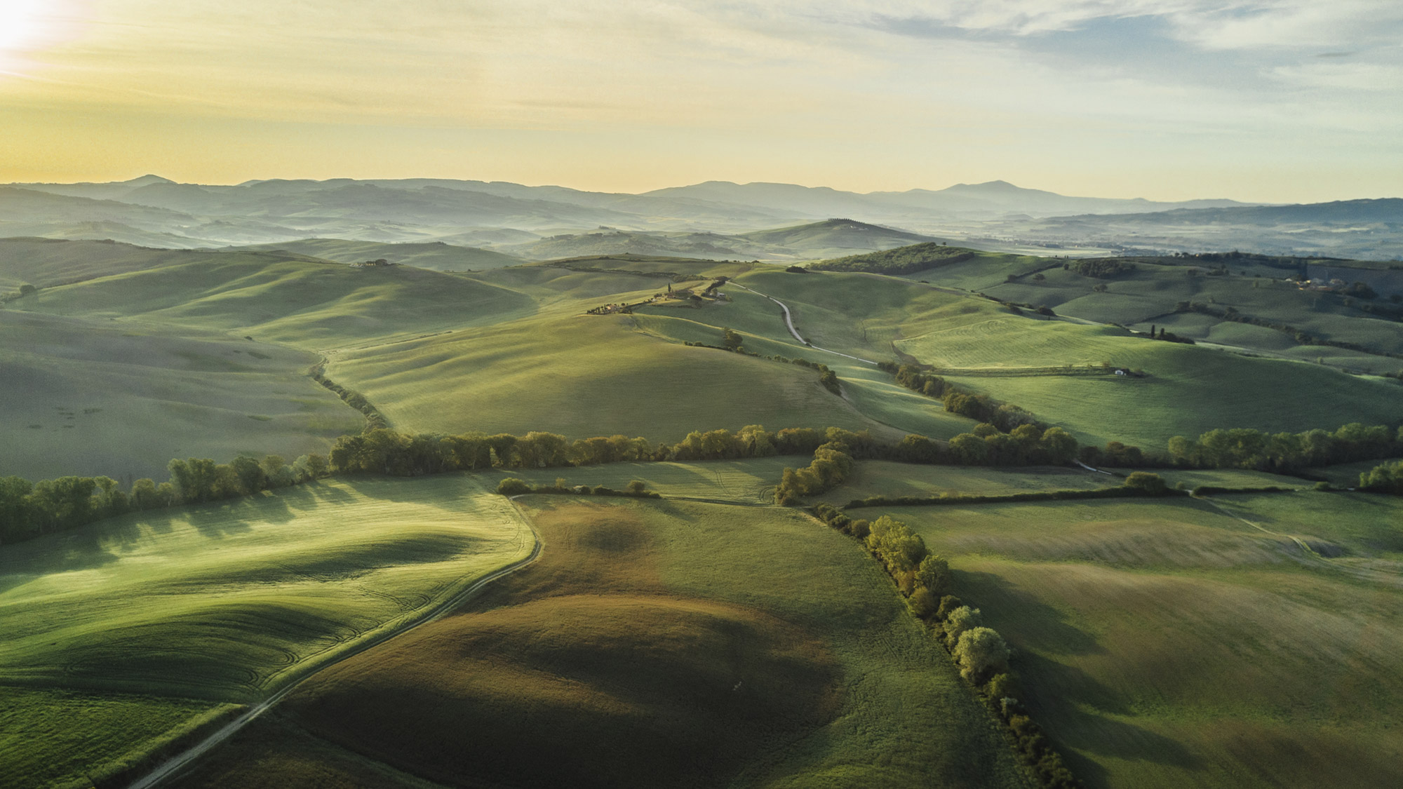 green landscape header