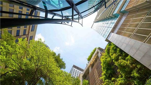 Header Local authorities