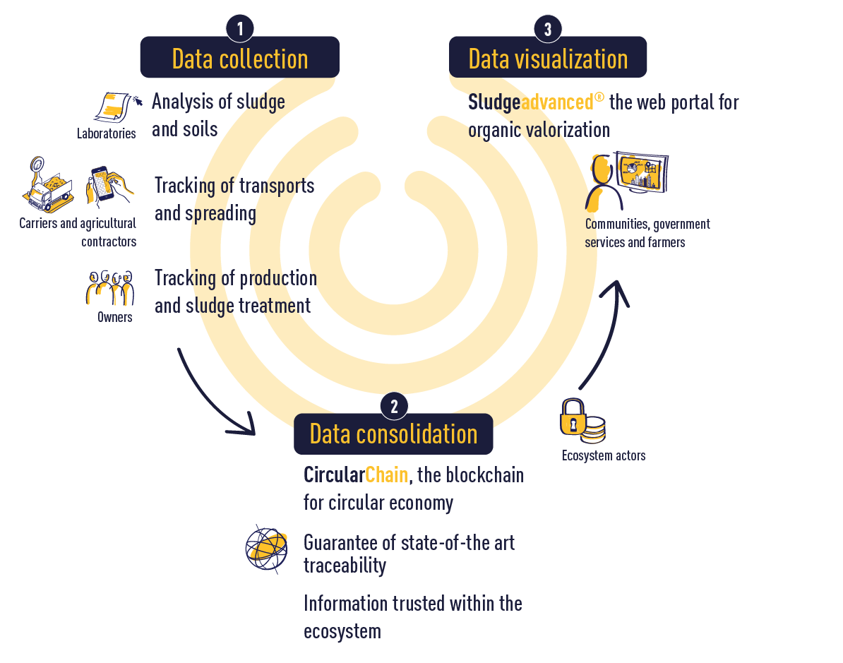 infographic circularchain EN