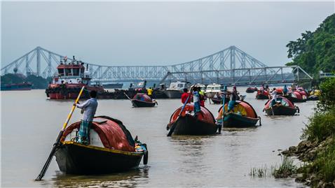 rapport-de-progres-calcutta-nature