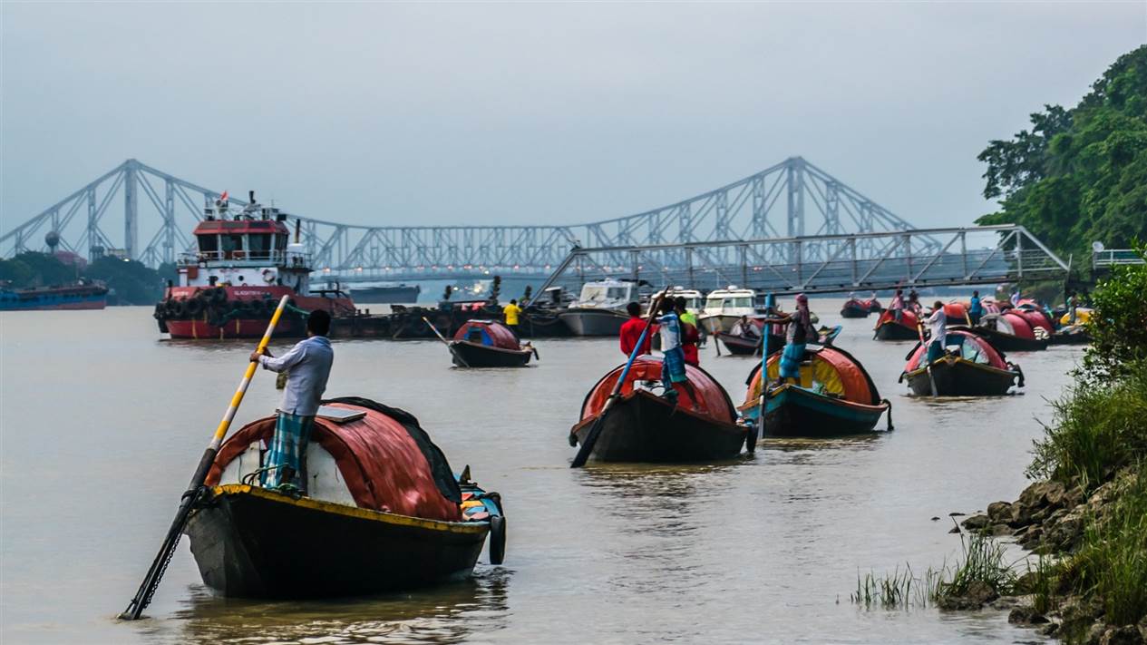 rapport-de-progres-calcutta-nature