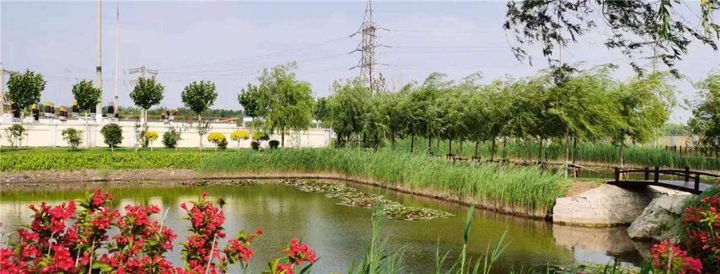 rapport-de-progres-Panjing-nature