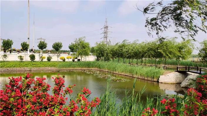 rapport-de-progres-Panjing-nature