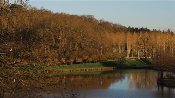 Case study - Armagnac