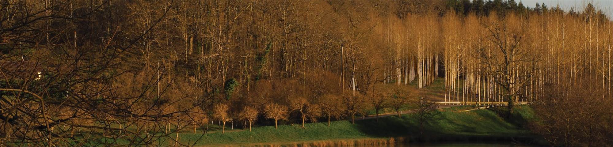 Case study - Armagnac