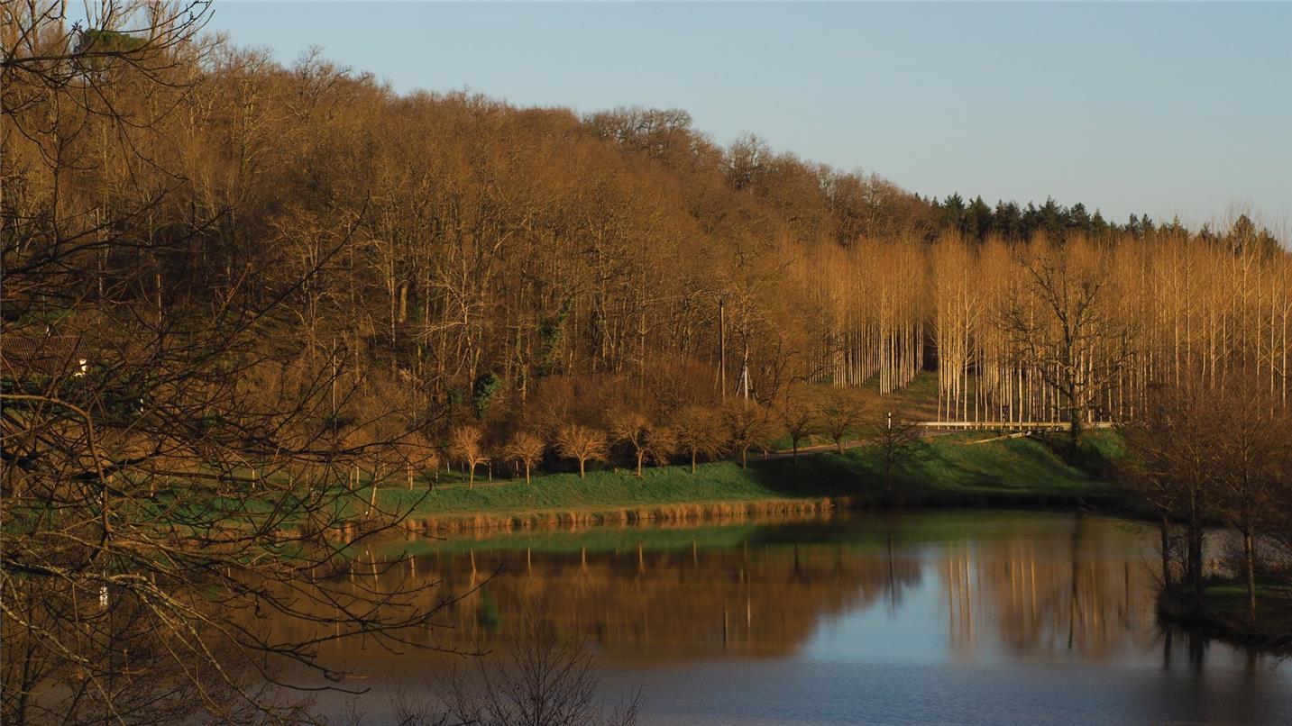 Case study - Armagnac