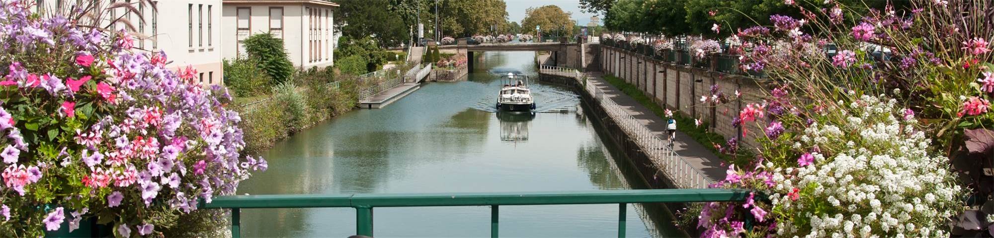 Real-time optimisation of network operations to reduce overflows and achieve compliance