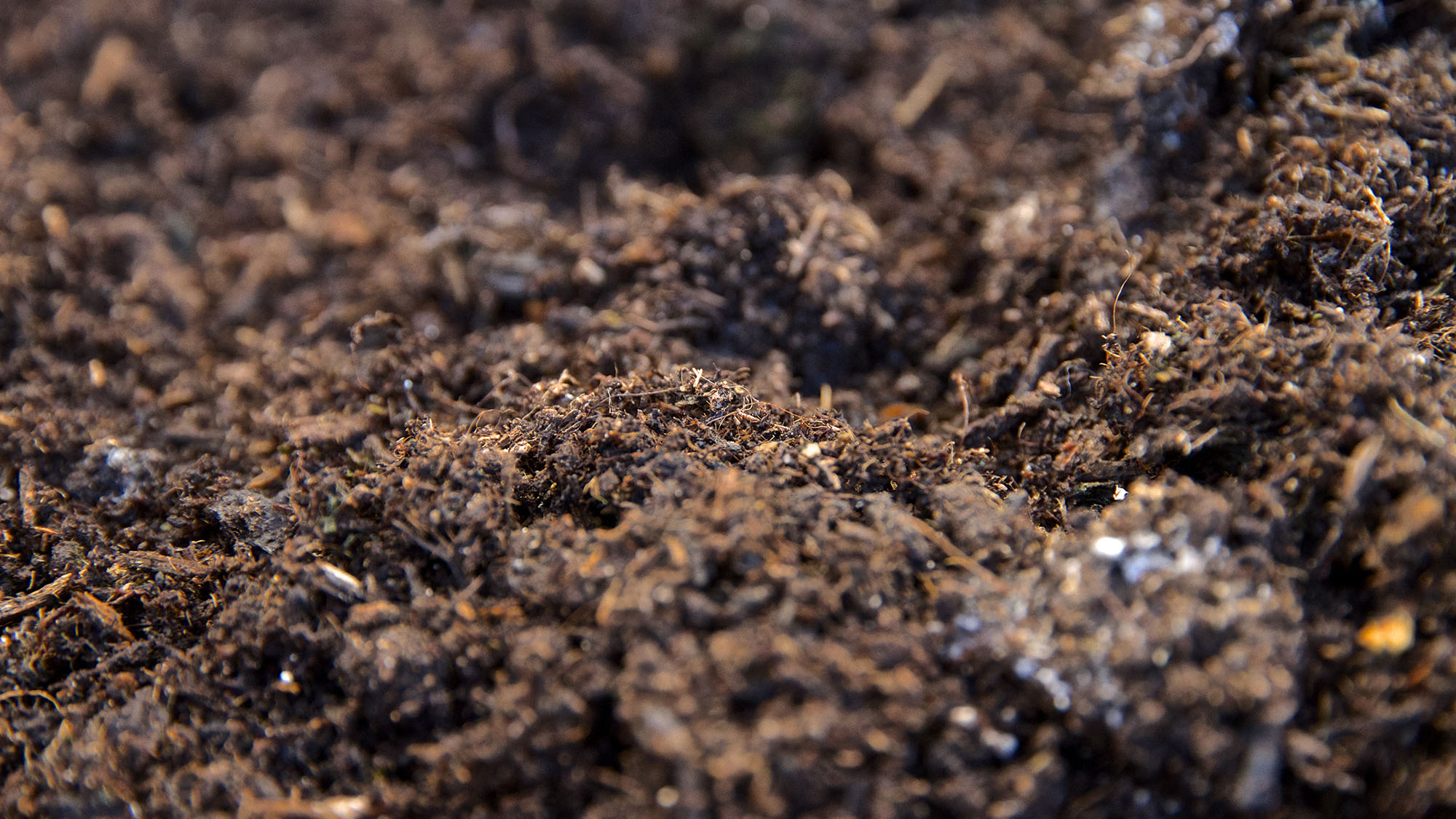 Soil analysis
