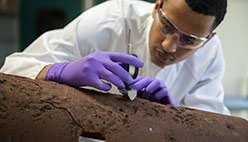 Cirsee-diagnostic-canalisation-mosaic