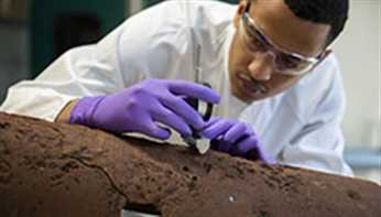 Cirsee-diagnostic-canalisation-mosaic