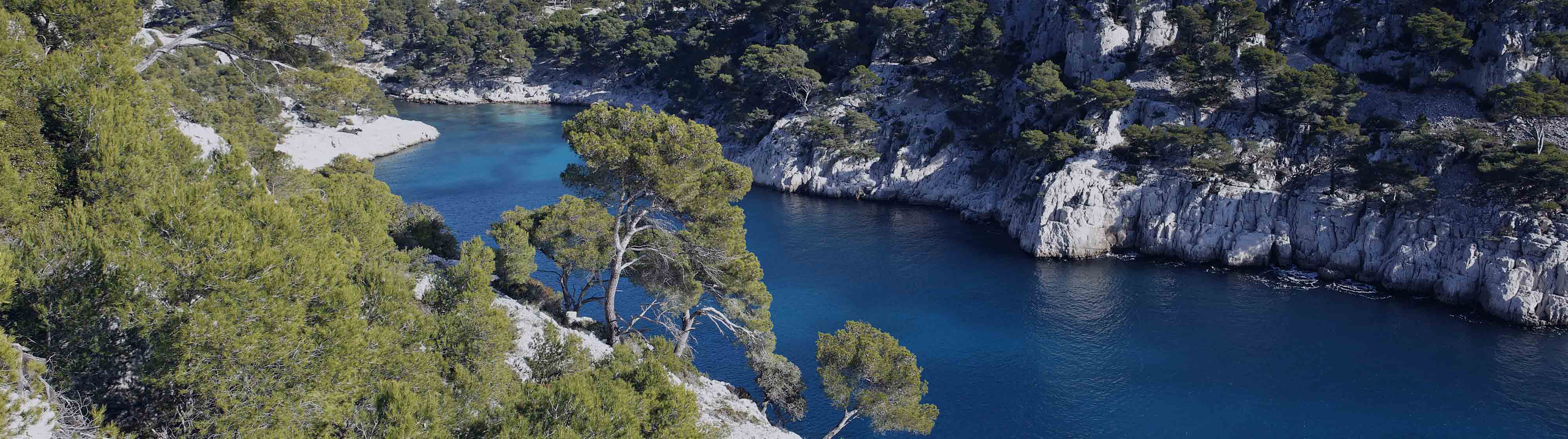 Calanques France Freepik