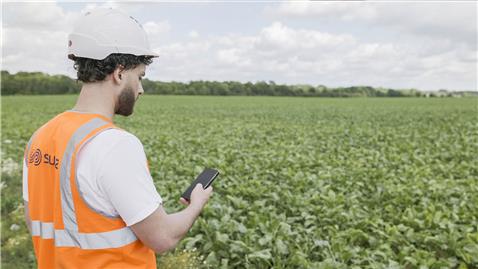 Collaborateur-champs-culture-Marne Employee in a cultivated field in the Marne