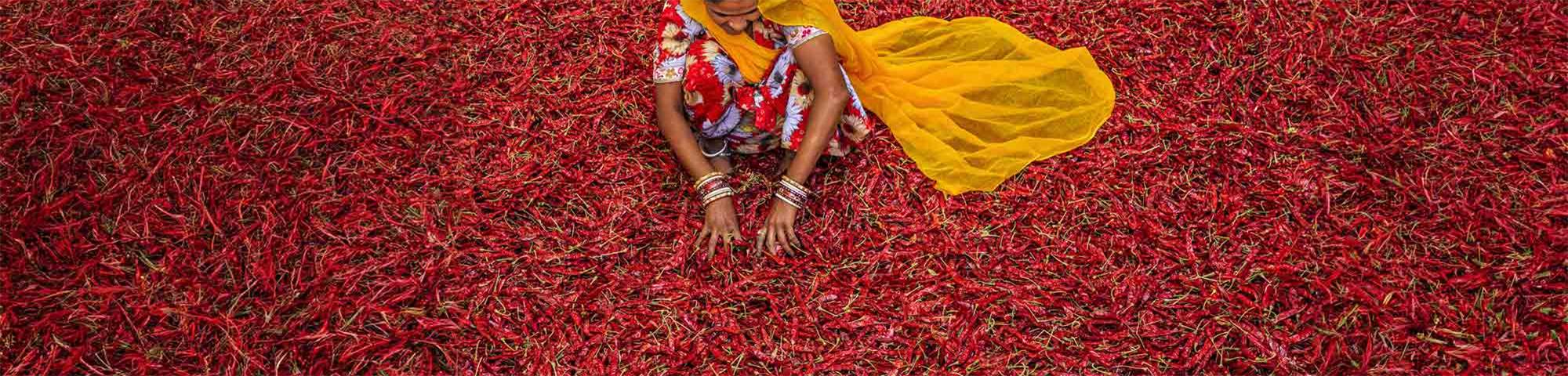 Femme-piments-rouges