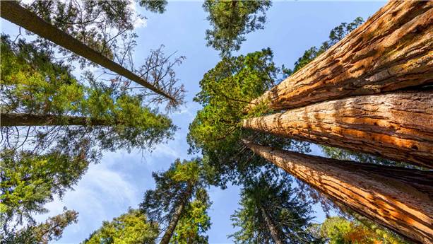 Header-Odour-Nuisances