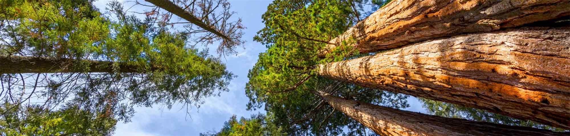 Header-Odour-Nuisances