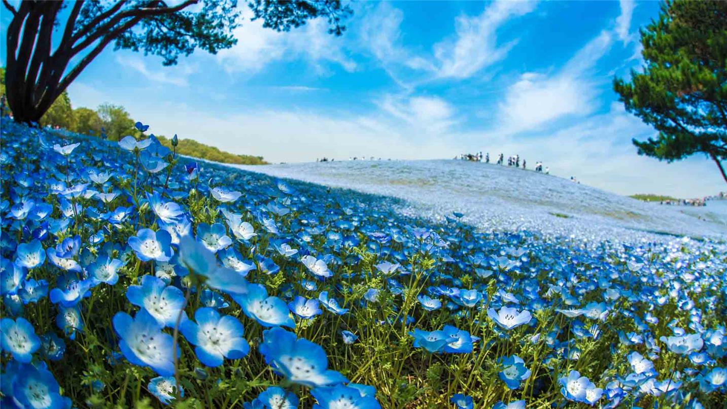 Header Research centers