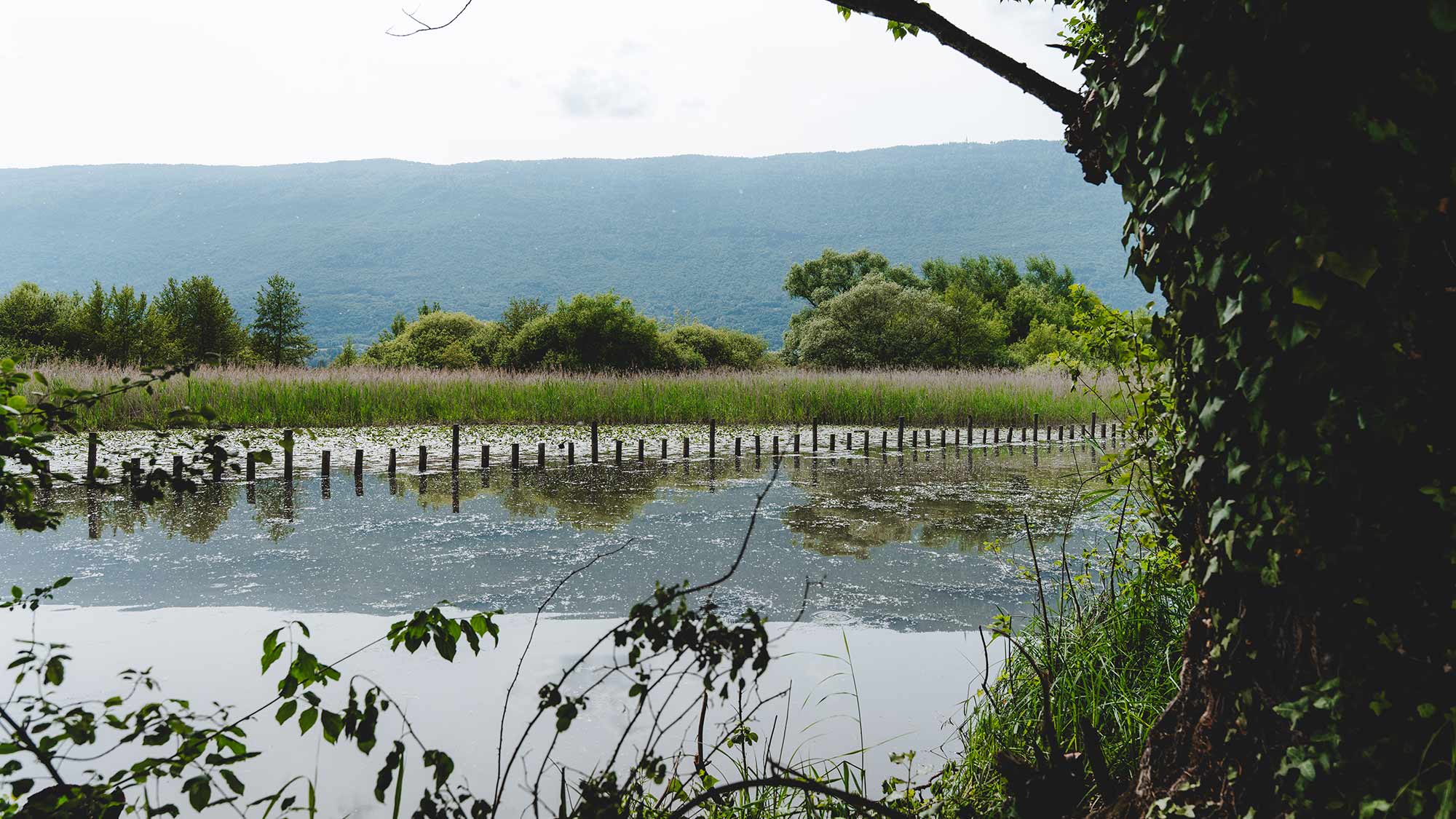 Préservation nature milieu naturel Chambéry