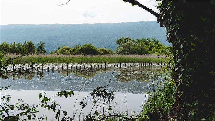 Préservation nature milieu naturel Chambéry