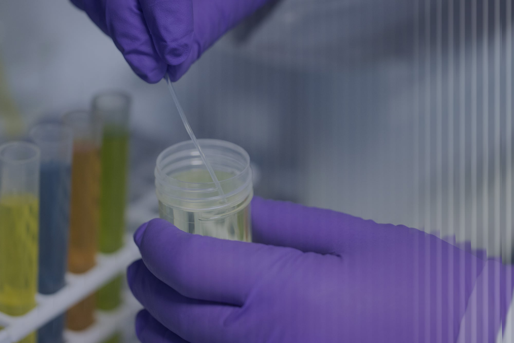 Laboratoire-main-CIRSEE-gradient