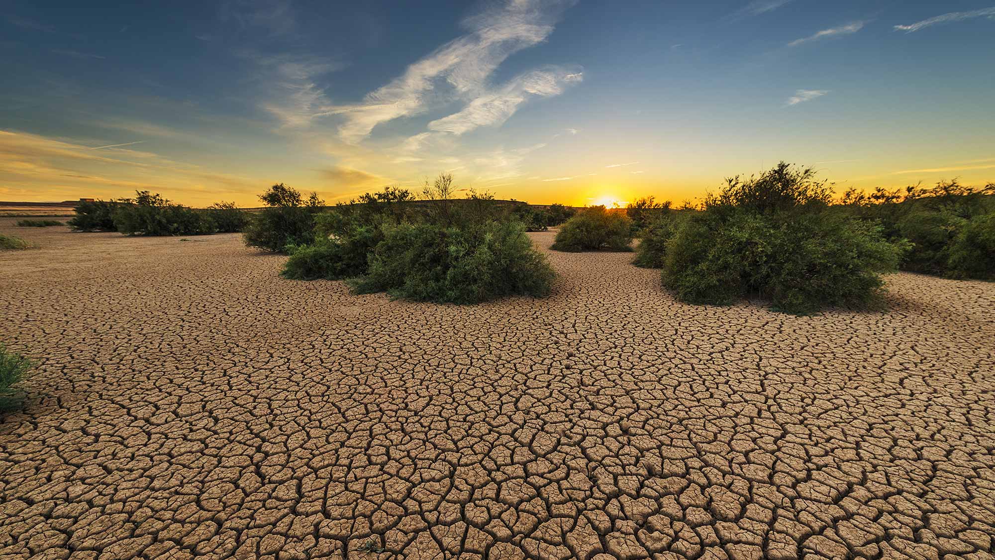 Drought © Pixabay