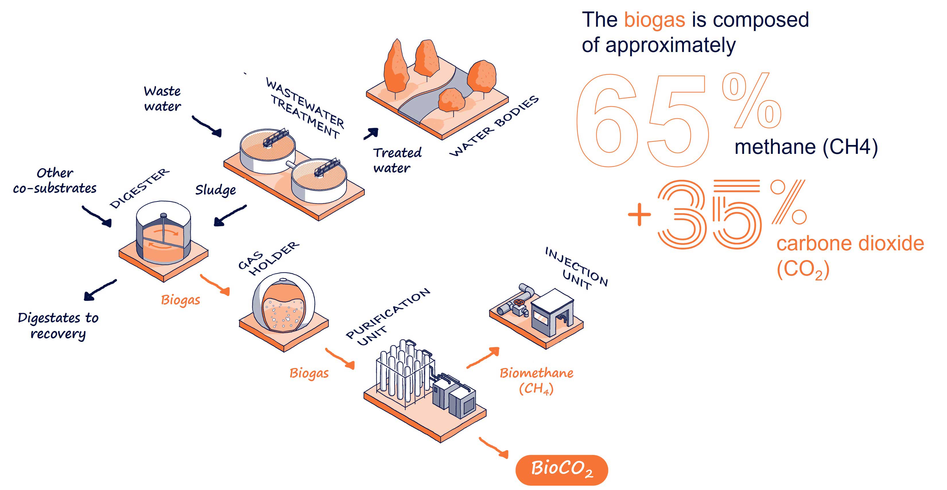 BioCO2-EN
