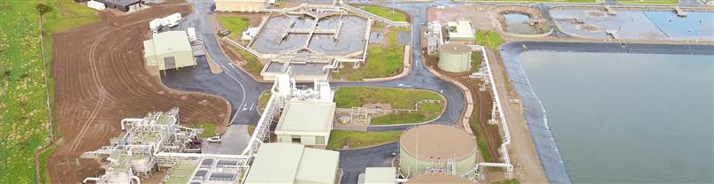 Boneo DJI_0416