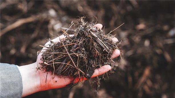 Plateforme de compostage à Chambéry