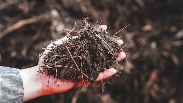 Plateforme de compostage à Chambéry
