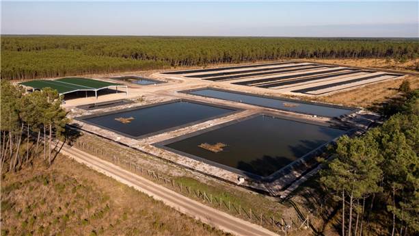 Sédiments bassin d’Arcachon