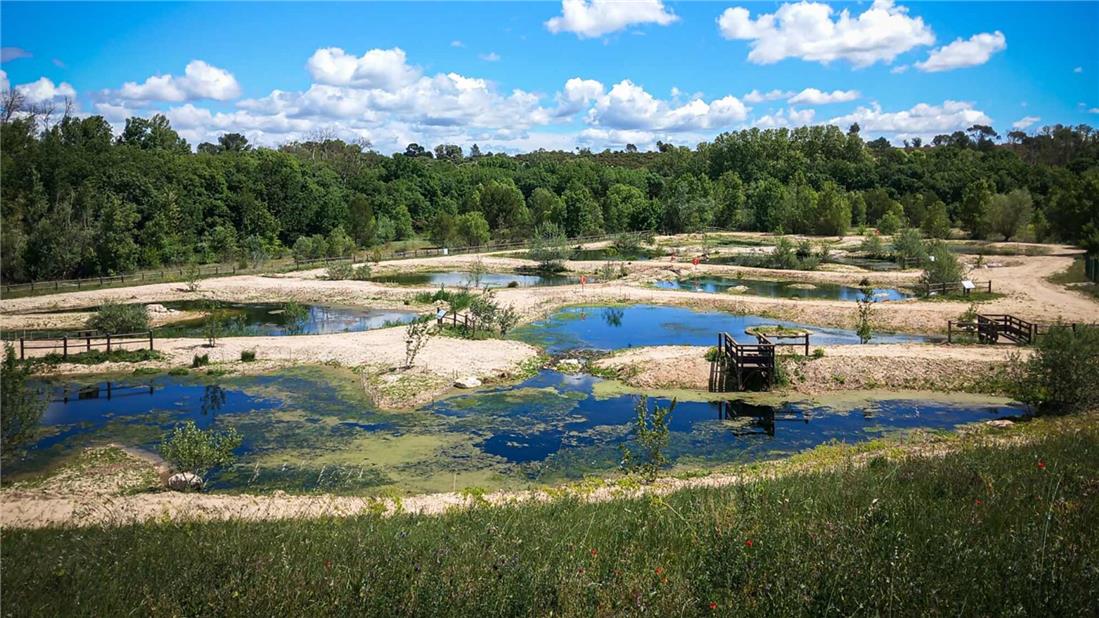 Vegetated Discharge Zone on which SUEZ worked as a delegate in Aix Ouest, Credit: Régie des Eaux du Pays d'Aix