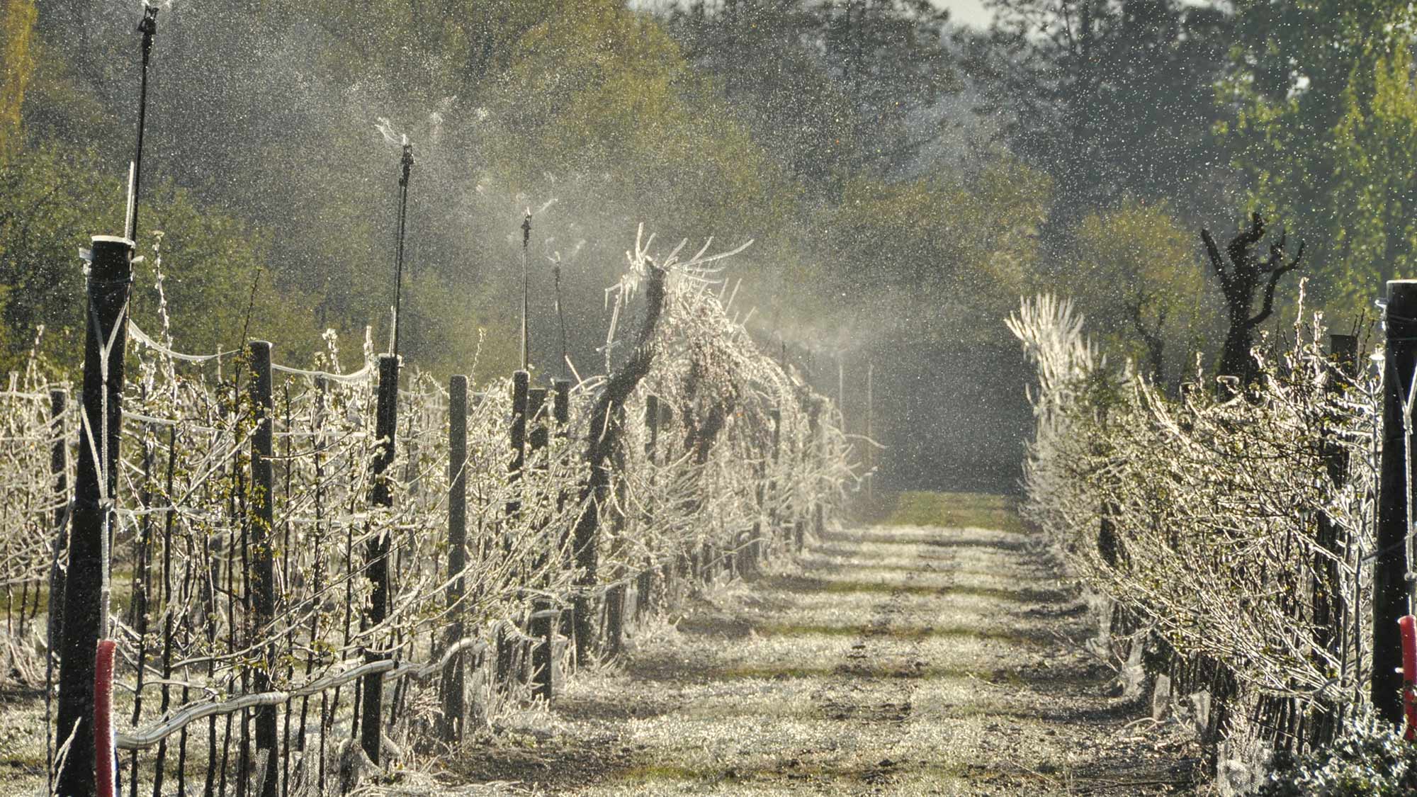 Reutilisation des eaux usees traitees Reuse wastewater, Gally Farms, Versailles, France