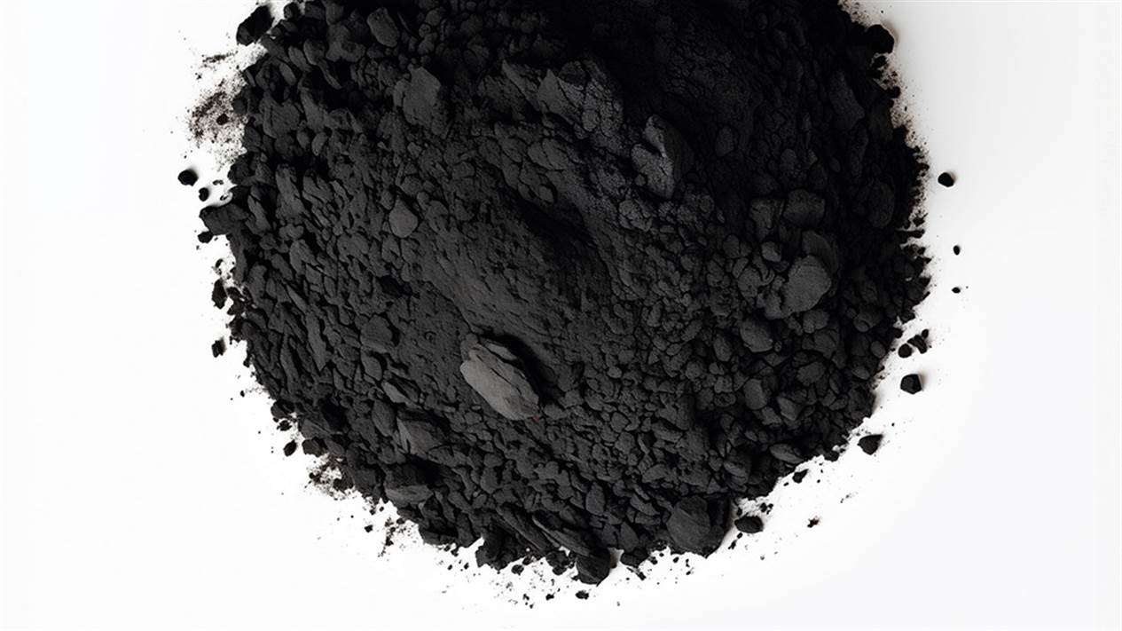 Biochar-magPLUS2